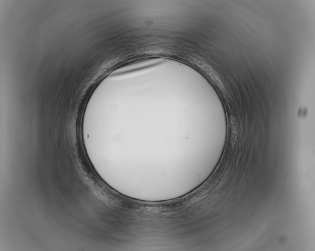 X0000096420482200802211127