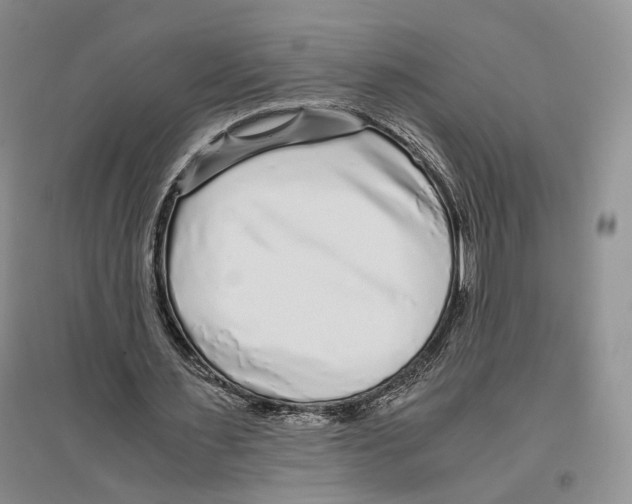 X0000096420483200802211127