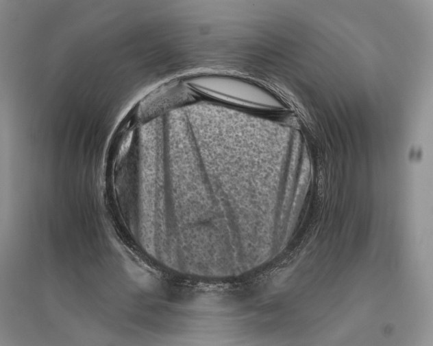 X0000096420484200802211127