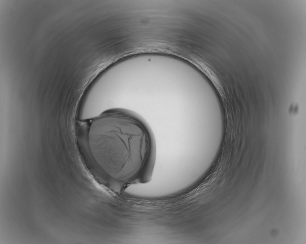 X0000096420485200802211127