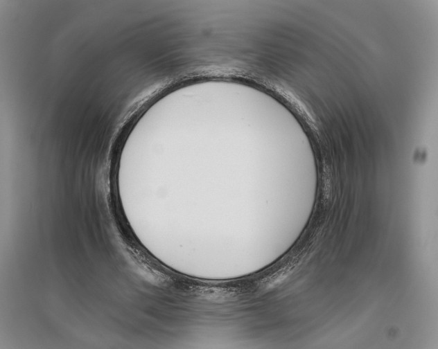 X0000096420486200802211127