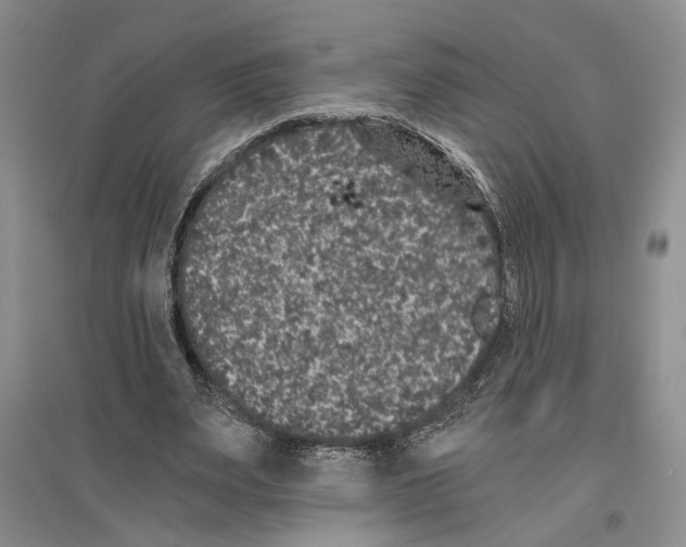 X0000096420487200802211127