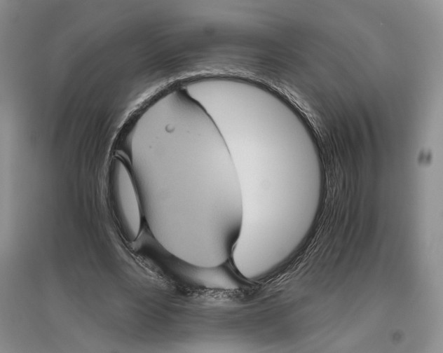 X0000096420488200802211127