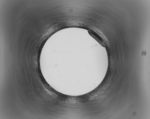 X0000096420489200802211127