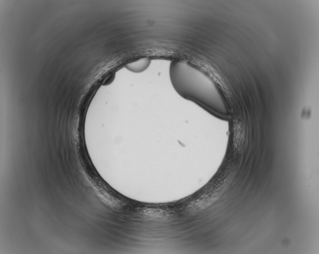 X0000096420490200802211127