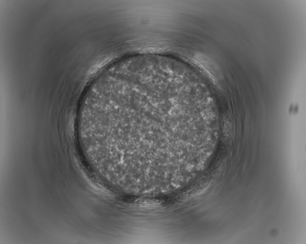 X0000096420491200802211127
