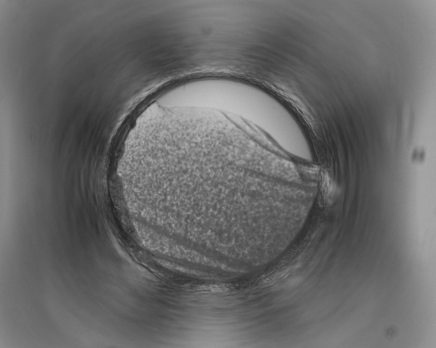 X0000096420492200802211127
