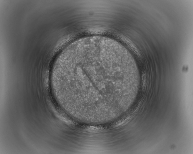 X0000096420494200802211127