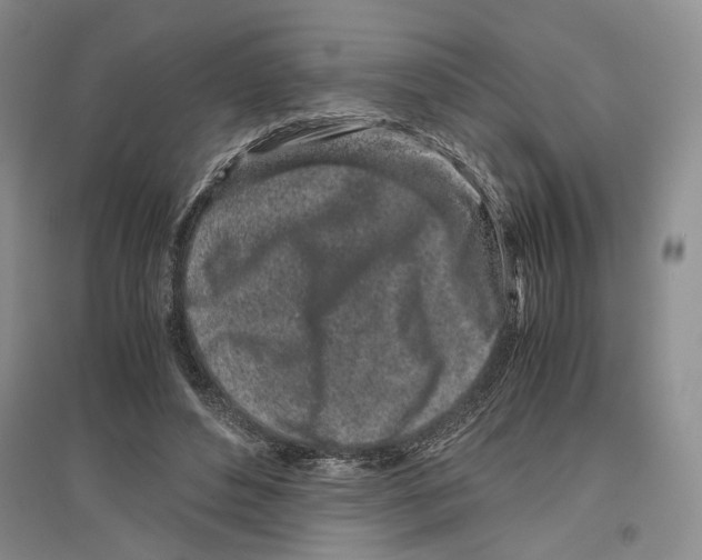 X0000096420496200802211127
