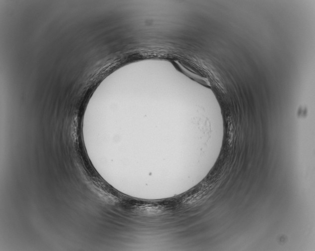 X0000096420498200802211127