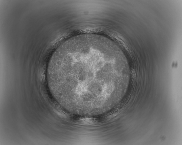 X0000096420499200802211127