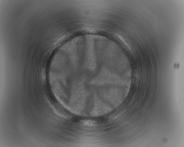 X0000096420500200802211127
