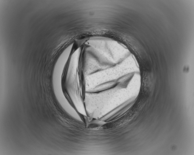 X0000096420501200802211127