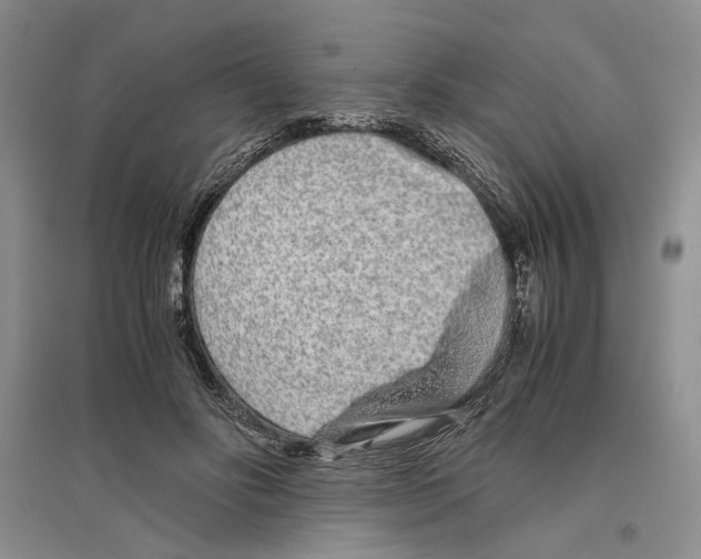 X0000096420502200802211127