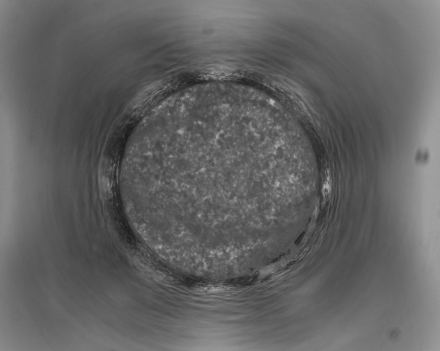 X0000096420503200802211127