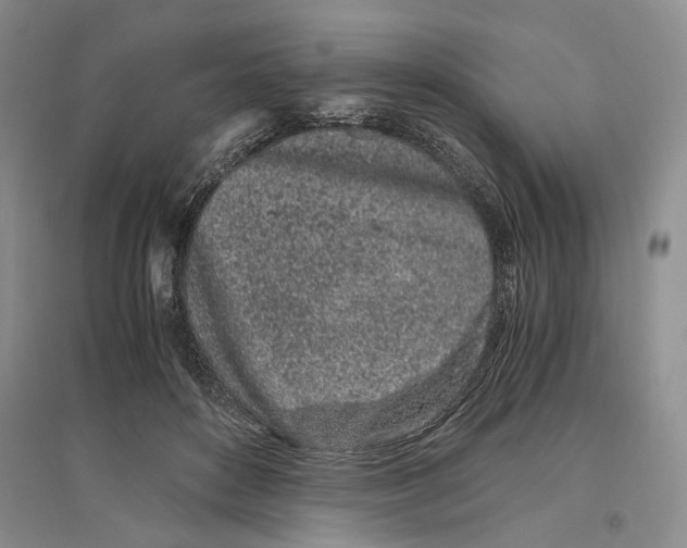 X0000096420504200802211127