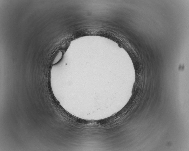 X0000096420505200802211127