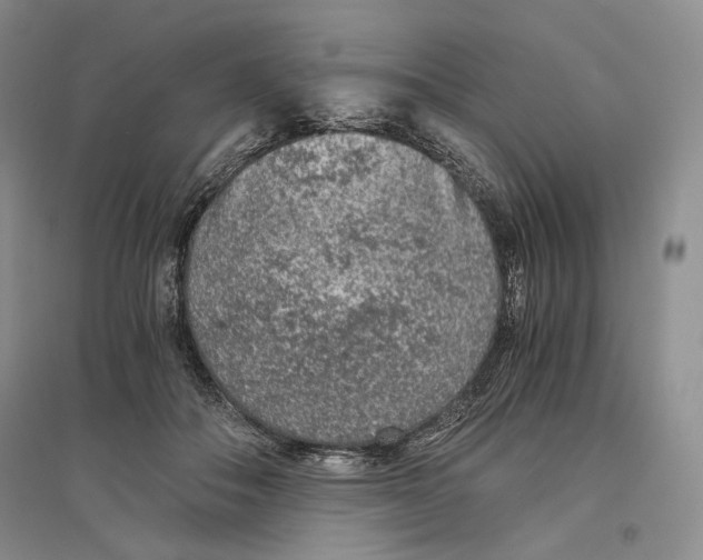 X0000096420506200802211127