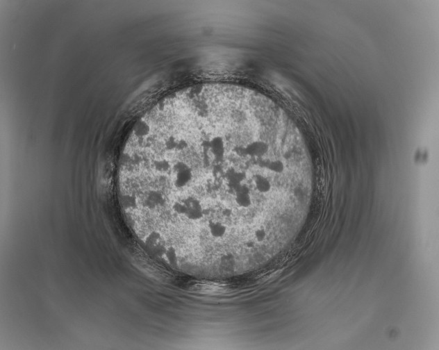 X0000096420507200802211127