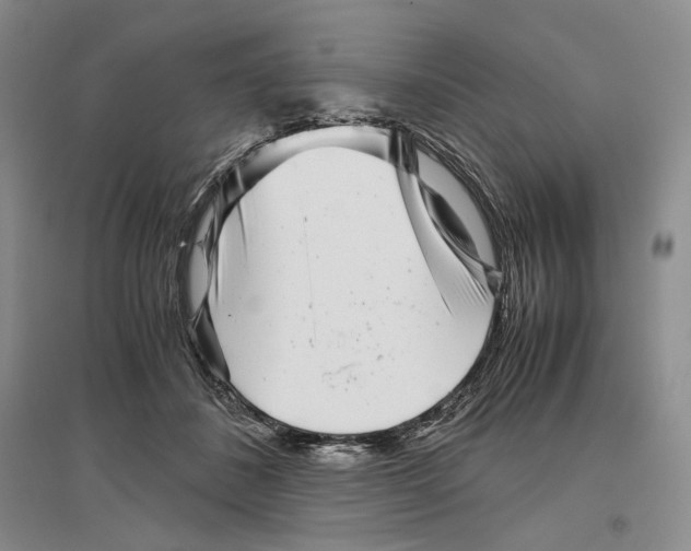 X0000096420508200802211127