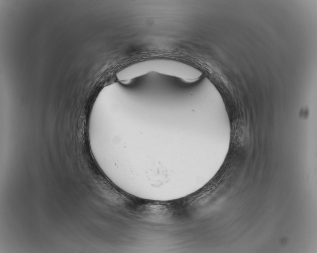 X0000096420509200802211127
