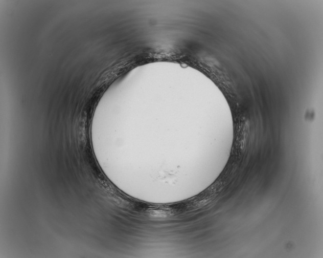 X0000096420510200802211127