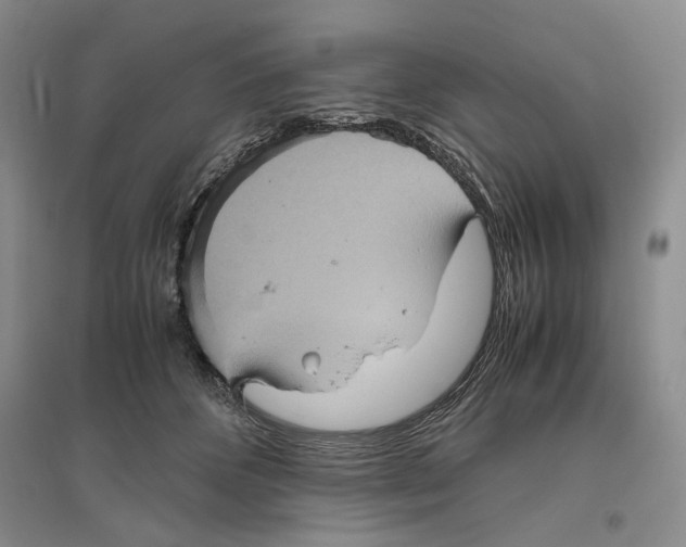 X0000096420512200802211127
