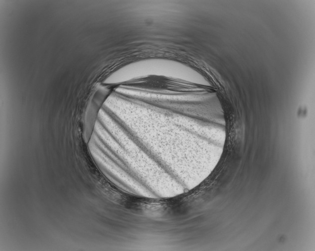 X0000096420513200802211127