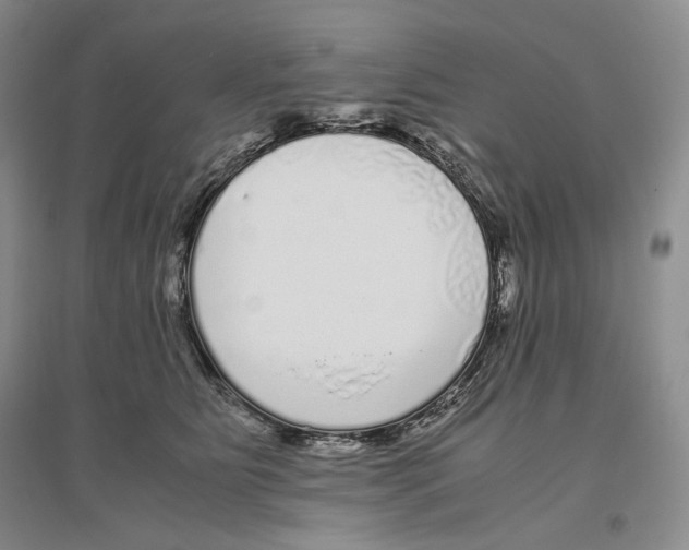 X0000096420515200802211127