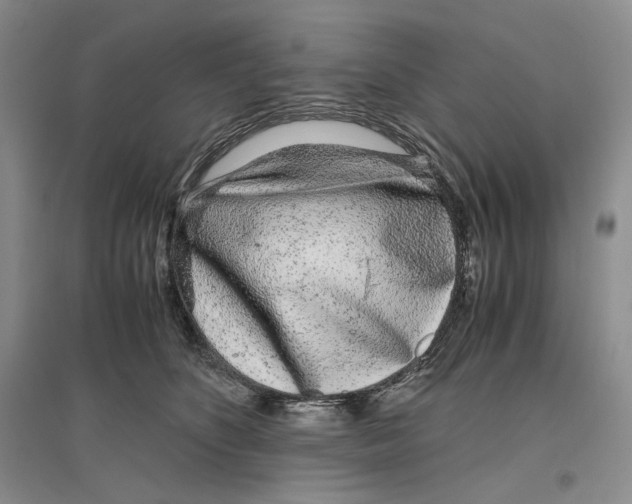 X0000096420516200802211127