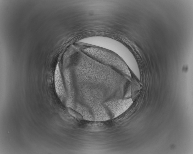 X0000096420517200802211127