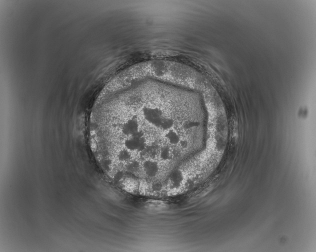 X0000096420519200802211127