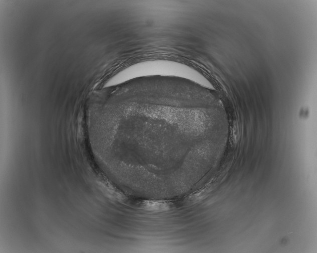 X0000096420520200802211127