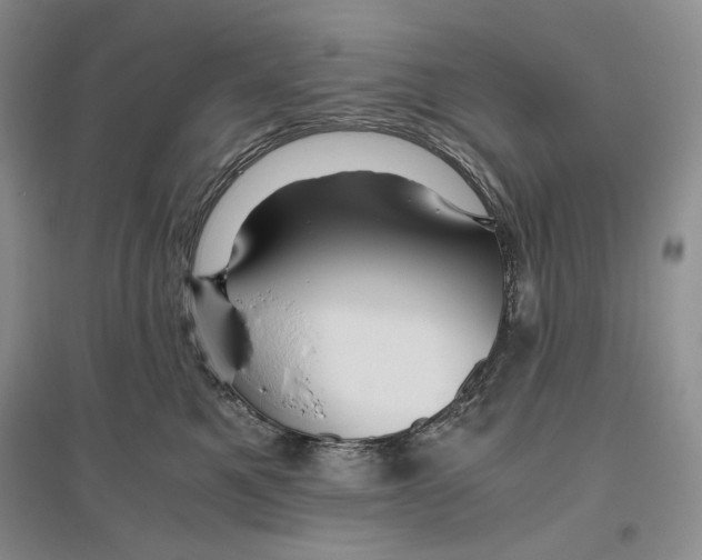 X0000096420521200802211127