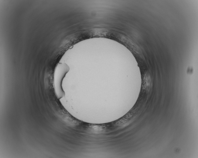 X0000096420522200802211127