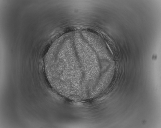 X0000096420523200802211127