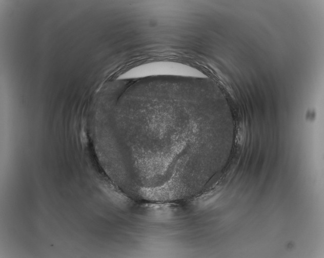 X0000096420524200802211127