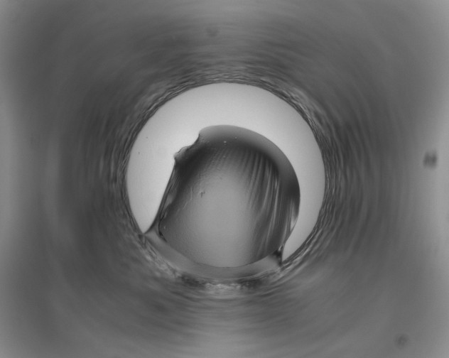 X0000096420525200802211127