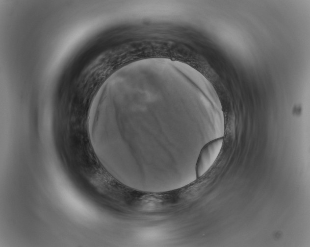 X0000096420526200802211127