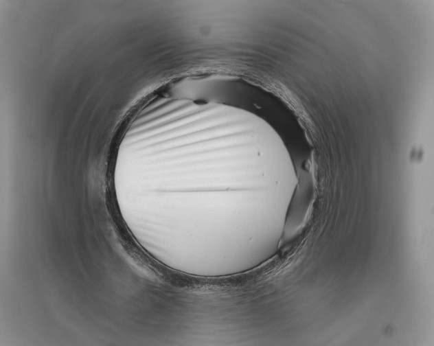 X0000096420530200802211126