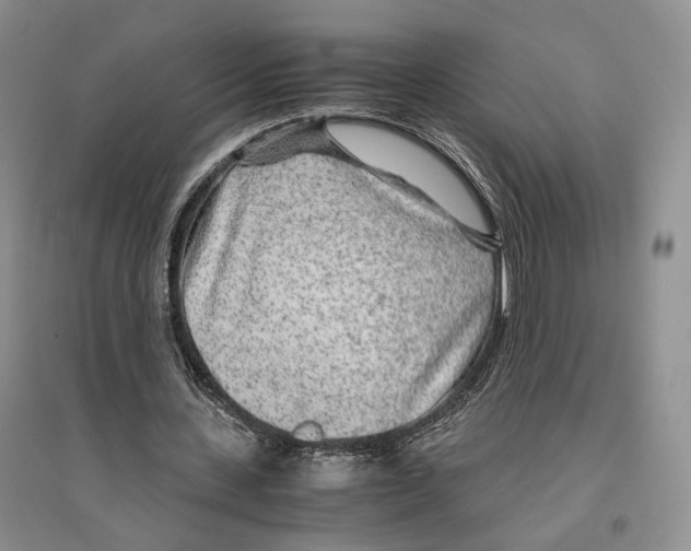 X0000096420531200802211126