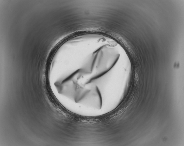 X0000096420532200802211126