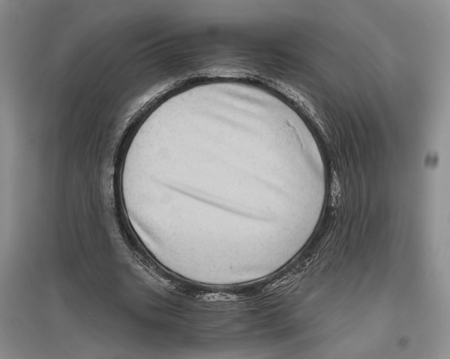 X0000096420535200802211126