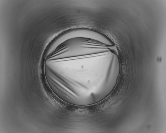 X0000096420536200802211126
