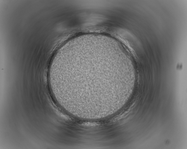 X0000096420537200802211126