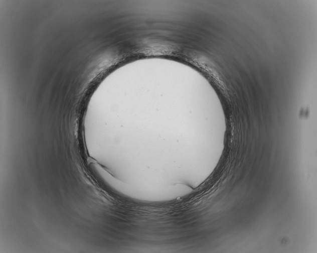 X0000096420539200802211126