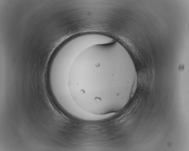 X0000096420540200802211126