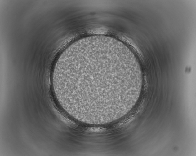 X0000096420541200802211126