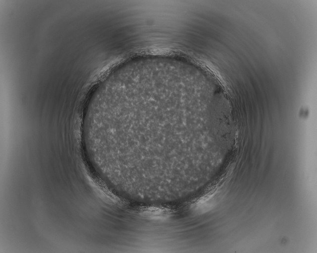 X0000096420542200802211126