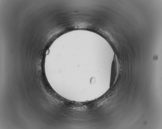 X0000096420543200802211126